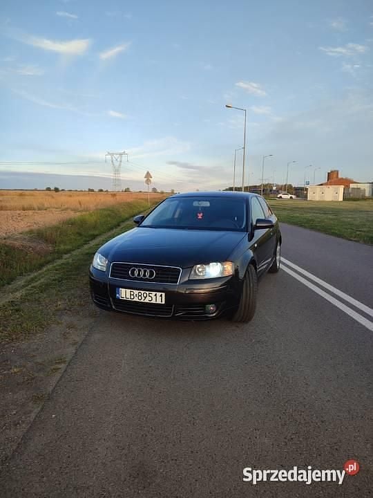 Używany 2004 Audi A3 | 6300 zł (Uczciwa cena) - Obraz 1/4