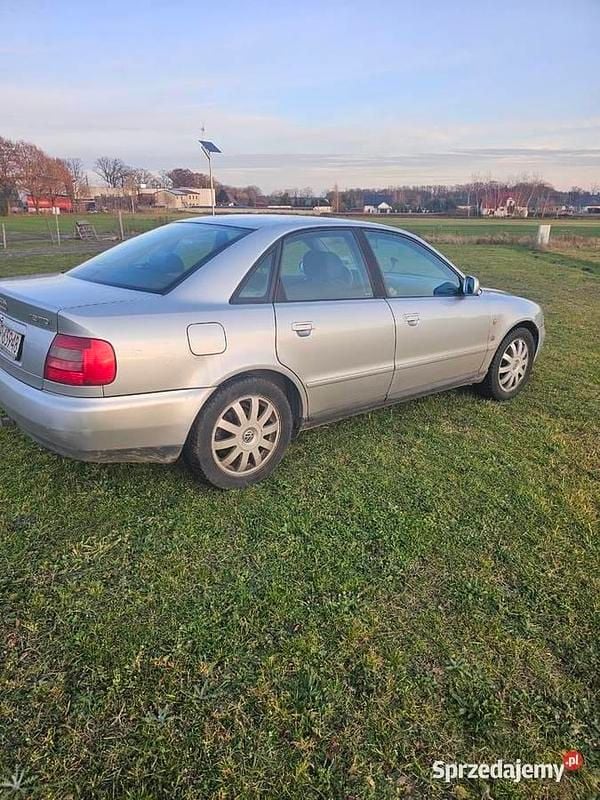 Używany 1999 Audi A4 | 2650 zł (Dobra cena) - Obraz 1/4