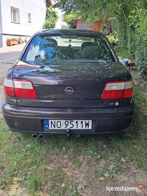 Obraz 3/4