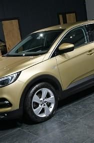 Używany Opel Grandland X 130 KM (95 kW) 2018 Żółtozłoty SUV