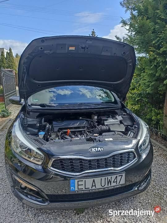 Czarny Używany 2016 Kia Ceed 4 Hatchback | 33 800 zł (Uczciwa cena) - Obraz 1/4