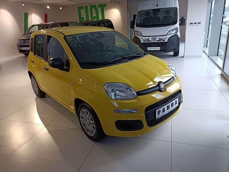 Nowe Fiat Panda Icon 70 KM (51 kW) 2025 Lakier pastelowy zółty positano Hatchback