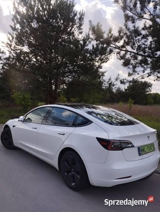 Używany Tesla Model 3 Standard Range Plus 208 kW (283 KM) 2021 Sedan/Limuzyna