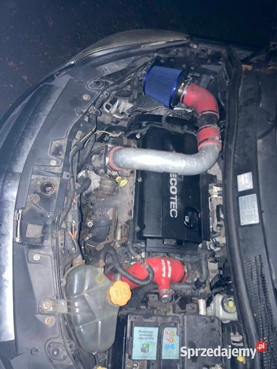 Obraz 3/4