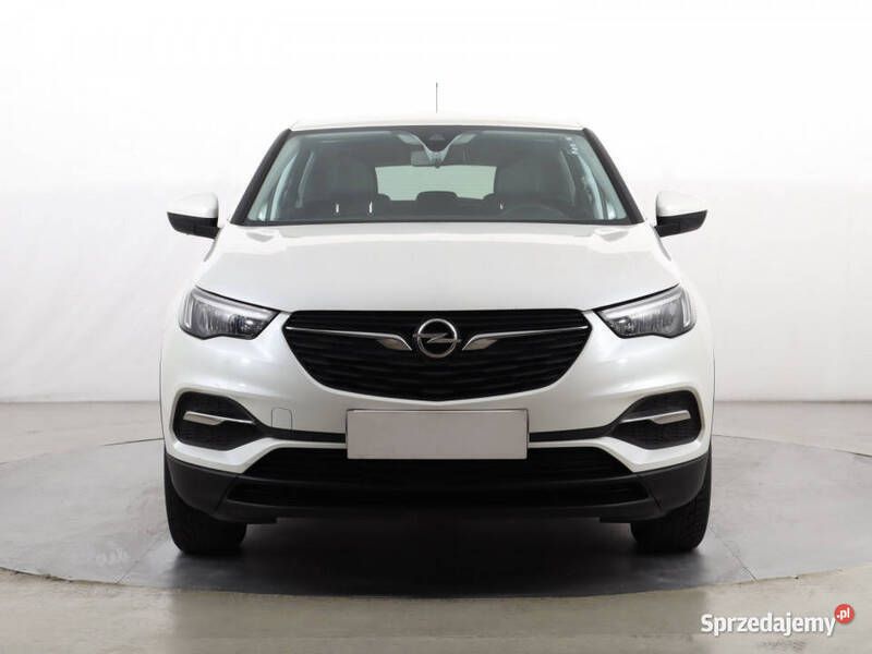 Biały Używany 2019 Opel Grandland X SUV | 57 999 zł (Dobra cena) - Obraz 1/4