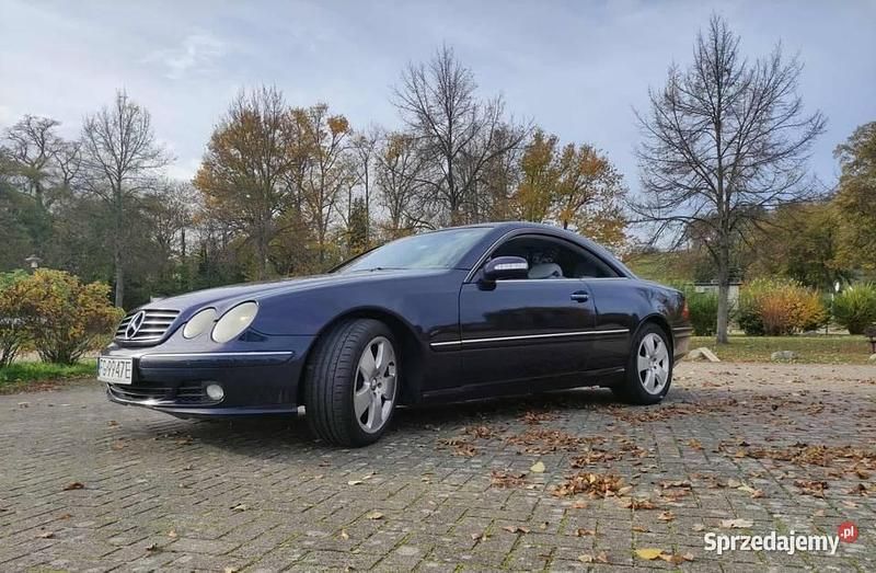 Używany Mercedes CL500 2004 Coupe