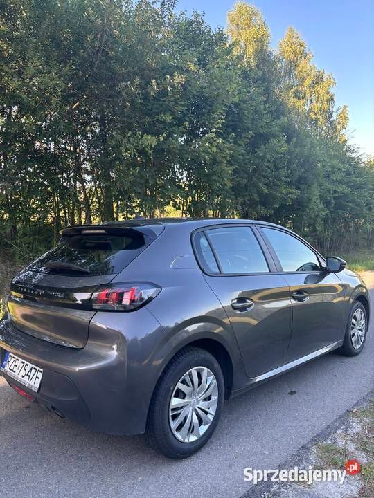 Obraz 4/4