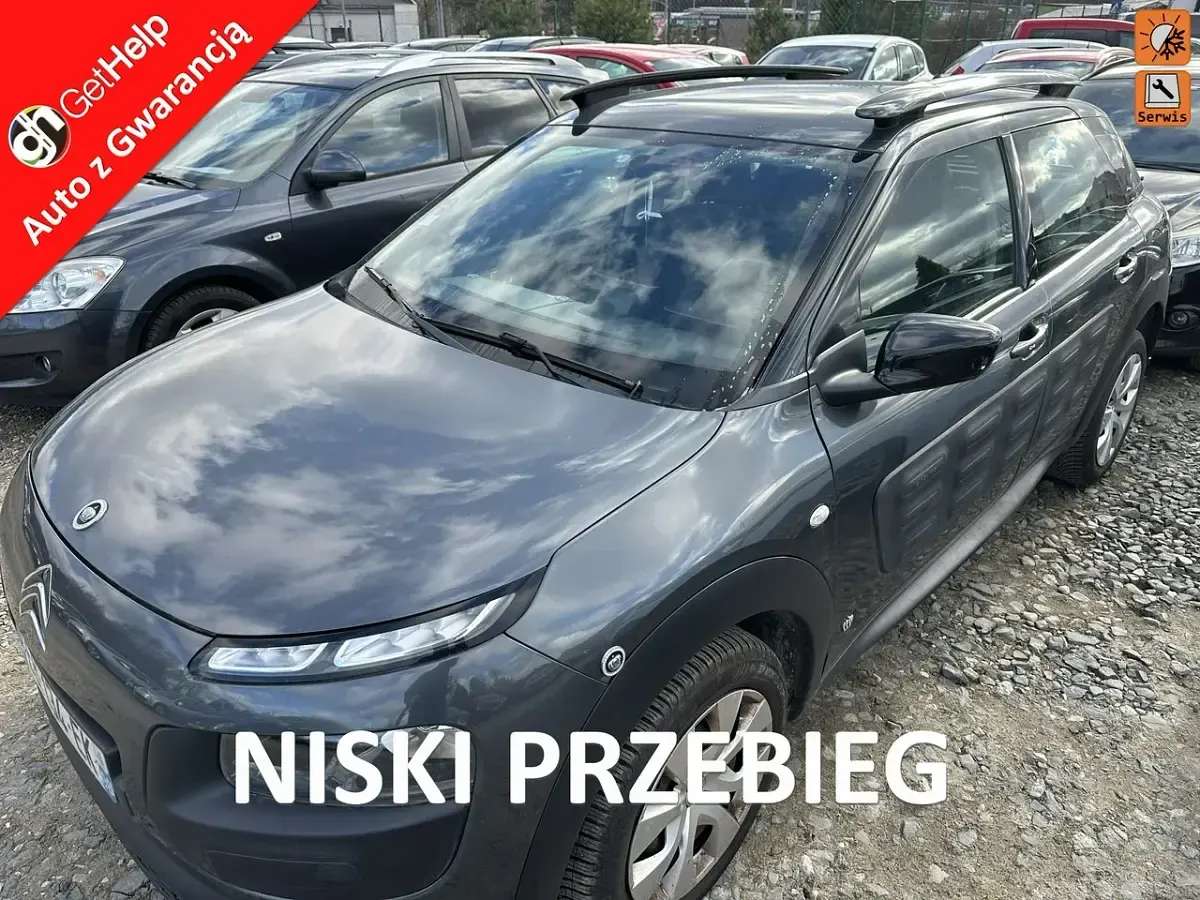 Uywany Citron C4 Cactus? Sprawd cen rynkow 128 aut na sprzeda   AutoUncle
