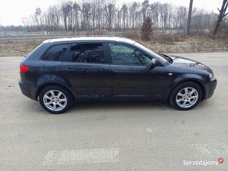 Używany 2008 Audi A3 Hatchback | 21 000 zł (Uczciwa cena) - Obraz 1/4