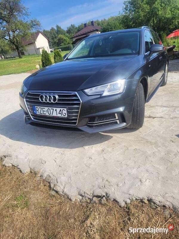 Używany Audi A4 2015
