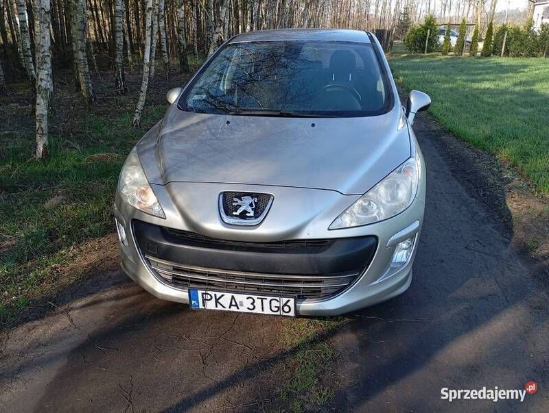 Używany 2007 Peugeot 308 | 10 000 zł (Uczciwa cena) - Obraz 1/4