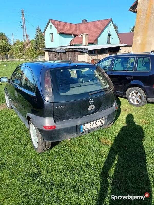 Obraz 2