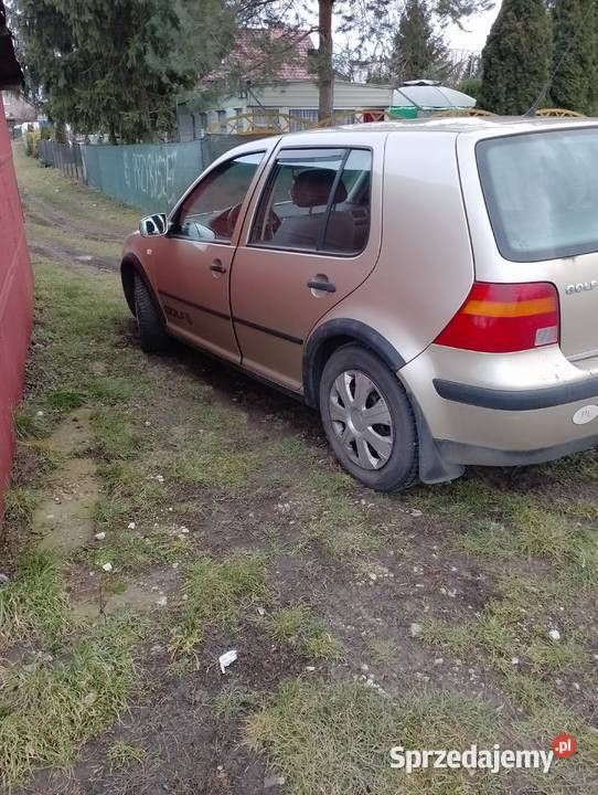 Złoty Używany 2003 VW Golf IV Hatchback | 3500 zł - Obraz 1/4