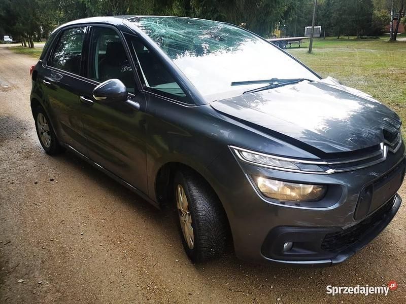 Używany 2017 Citroën C4 Picasso Minivan | 20 000 zł - Obraz 1/4