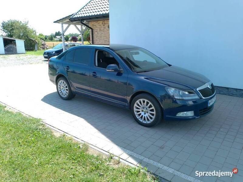 Obraz 4