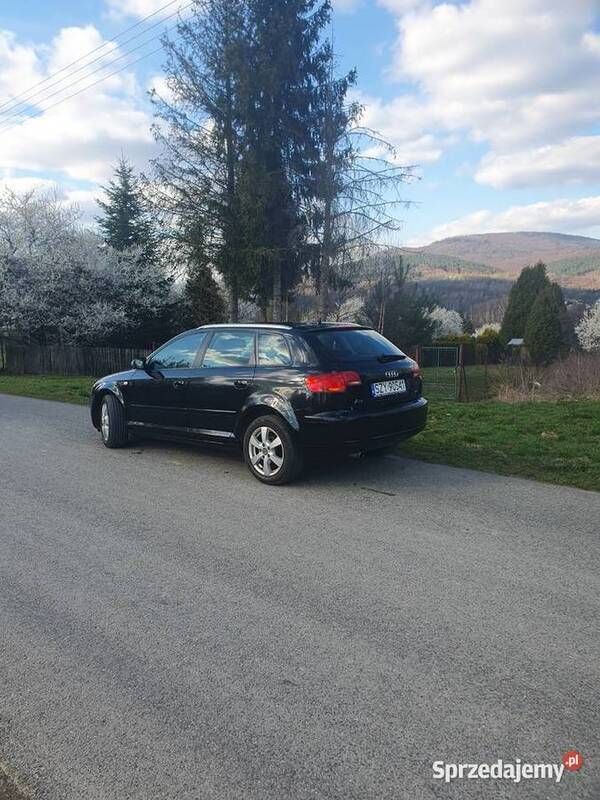 Czarny Używany 2008 Audi A3 Hatchback | 17 900 zł (Dobra cena) - Obraz 1/4