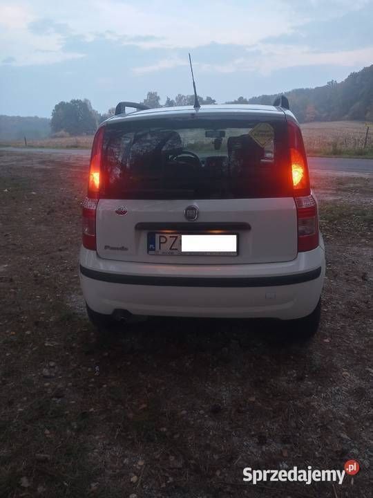 Używany Fiat Panda 2007 Hatchback