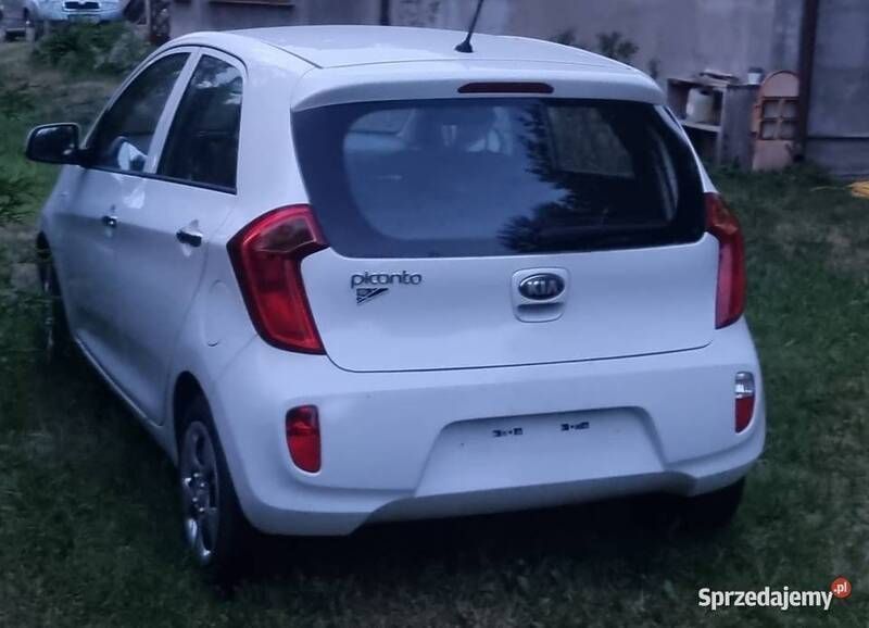 Używany Kia Picanto 69 KM (50 kW) 2013 Biały Hatchback
