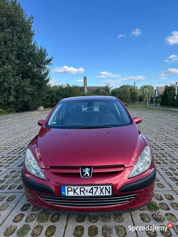 Używany 2002 Peugeot 307 | 4500 zł (Drogi) - Obraz 1/4