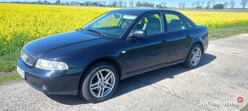 Używany 2000 Audi A4 | 2900 zł (Uczciwa cena) - Obraz 1/4
