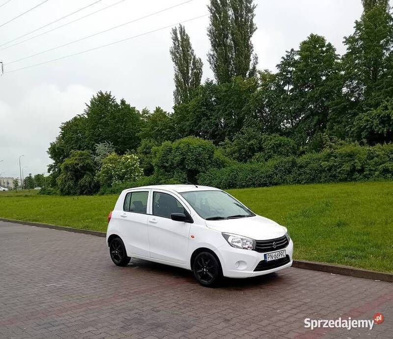 Biały Używany 2017 Suzuki Celerio Hatchback | 23 500 zł - Obraz 1/4