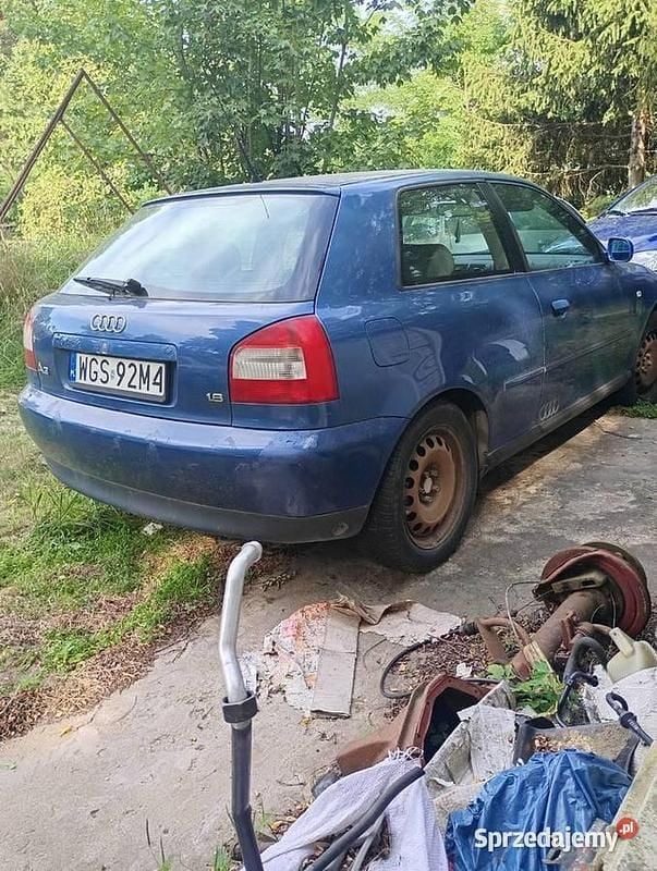 Obraz 2/4