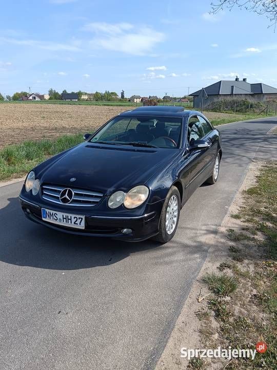 Obraz 3/4