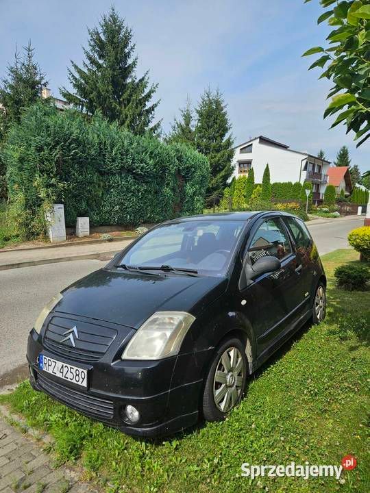 Obraz 3/3