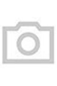 Nowe Ford Ranger 210 KM (154 kW) 2025 Czarny Pickup