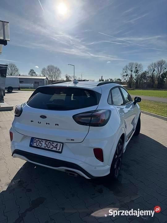 Używany Ford Puma ST-Line 125 KM (91 kW) 2021 Biały Hatchback