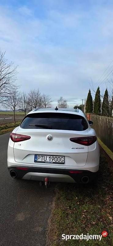 Używany 2019 Alfa Romeo Stelvio SUV | 88 000 zł (Uczciwa cena) - Obraz 1/4