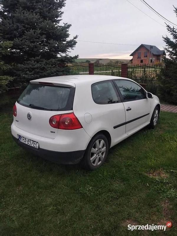 Używany VW Golf V 2004 Biały Hatchback