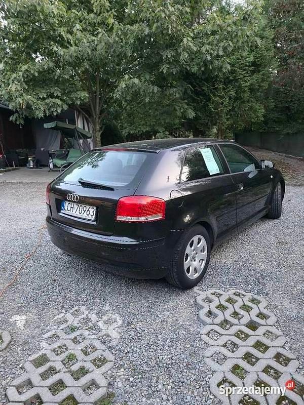 Czarny Używany 2004 Audi A3 Hatchback | 7000 zł (Uczciwa cena) - Obraz 1/4
