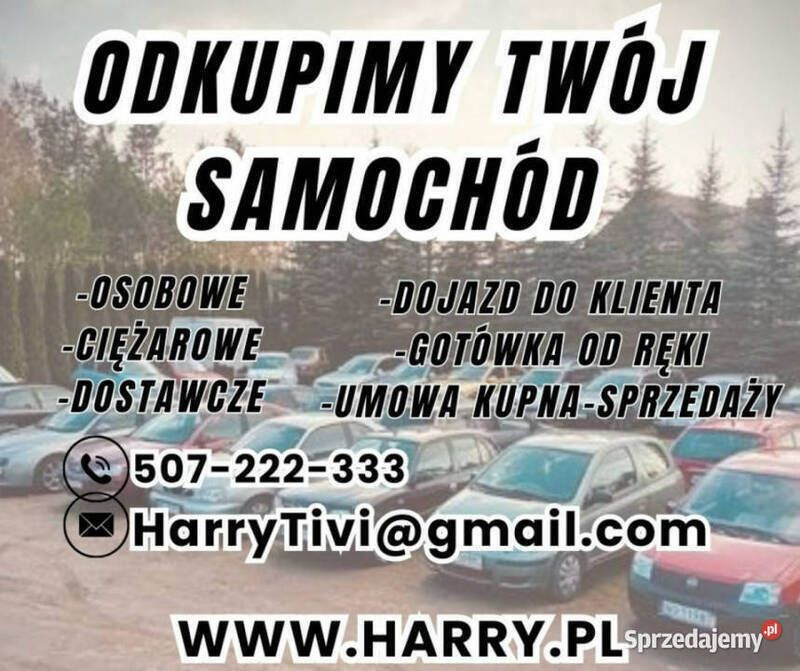Czerwony Używany 2003 Fiat Panda Hatchback | 900 zł (Super Cena) - Obraz 1/3