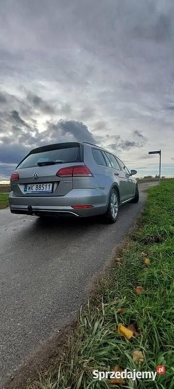 Używany VW Golf VII 2018 Szary Kombi