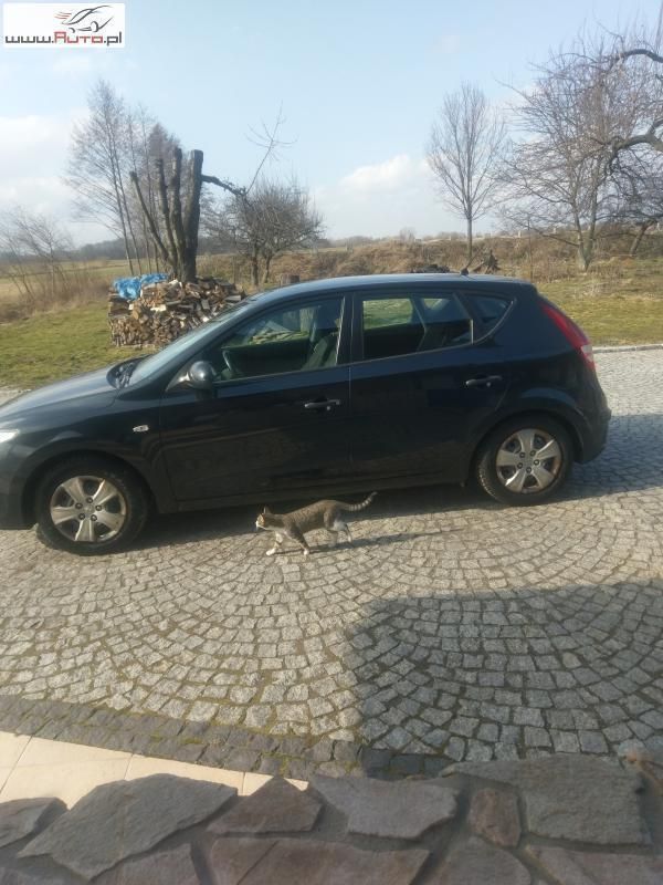 Obraz 3/4