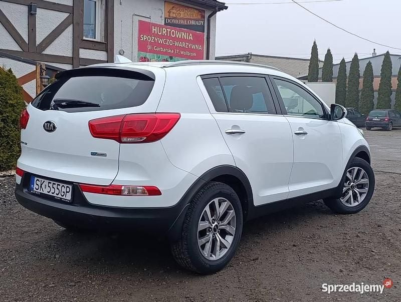 Biały Używany 2015 Kia Sportage SUV | 49 900 zł (Dobra cena) - Obraz 1/4