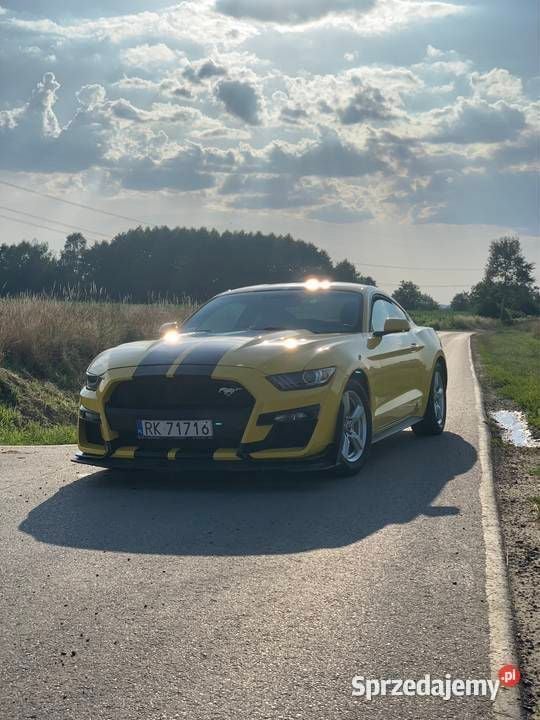 Żółty Używany 2017 Ford Mustang | 78 000 zł (Drogi) - Obraz 1/4