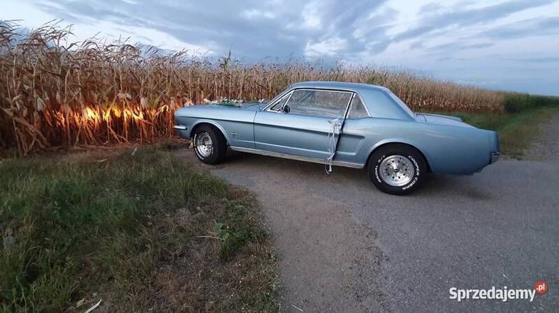 Niebieski Używany 1966 Ford Mustang Coupe | 89 500 zł - Obraz 1/4