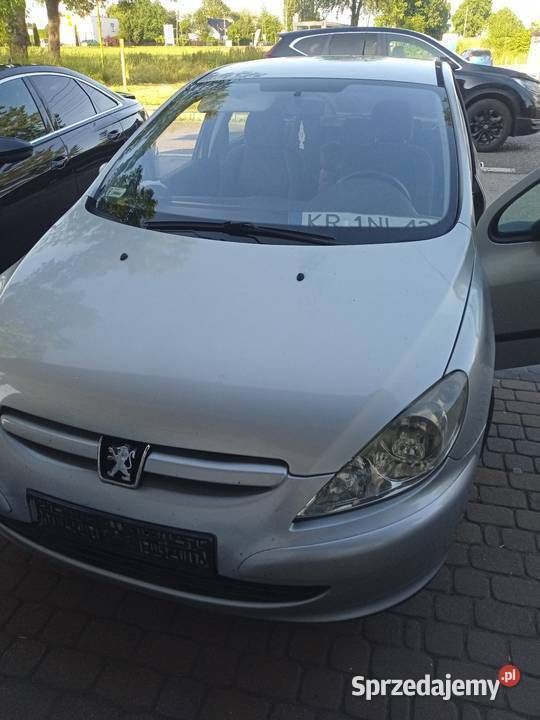 Srebrny Używany 2002 Peugeot 307 Hatchback | 2000 zł (Uczciwa cena) - Obraz 1/4