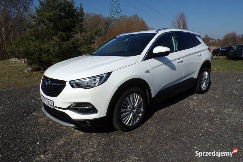 Biały Używany 2019 Opel Grandland X SUV | 68 500 zł (Uczciwa cena) - Obraz 1/4