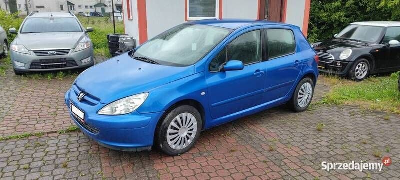 Używany 2002 Peugeot 307 Hatchback | 8000 zł - Obraz 1/4