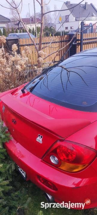 Używany Hyundai Coupé 2002 Coupe