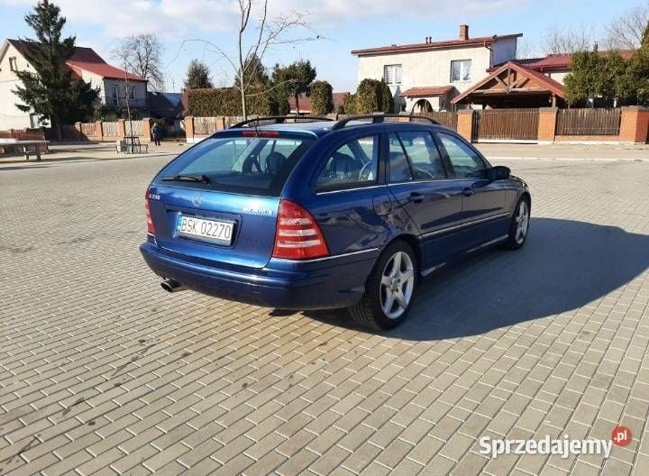 Obraz 3/4