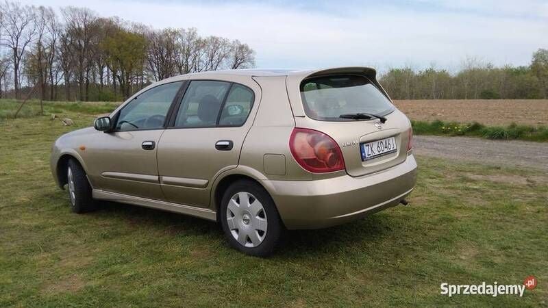 Używany 2003 Nissan Almera | 5700 zł (Uczciwa cena) - Obraz 1/4