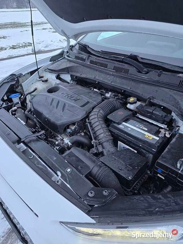 Używany Hyundai Kona 2019 SUV