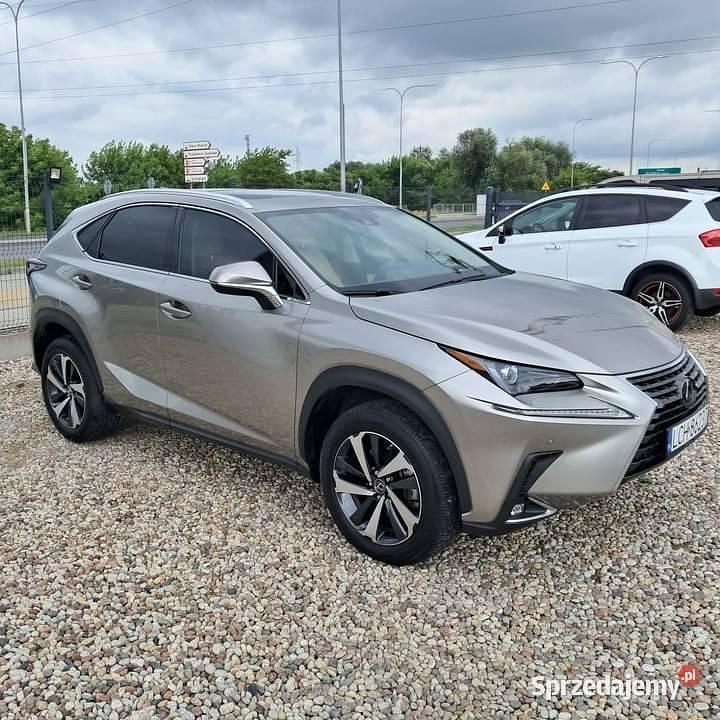 Używany 2021 Lexus NX300 SUV | 135 000 zł - Obraz 1/4