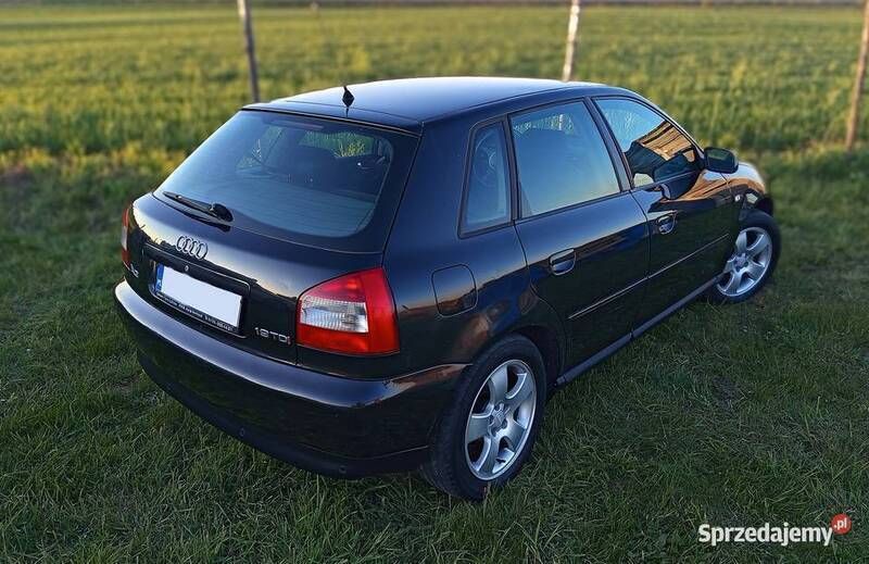 Obraz 2
