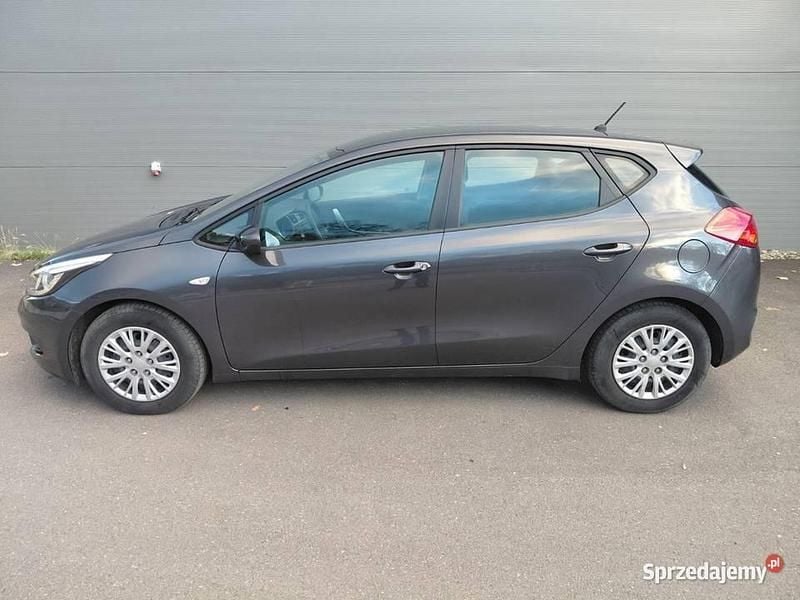 Używany 2015 Kia Ceed Hatchback | 35 700 zł (Uczciwa cena) - Obraz 1/4