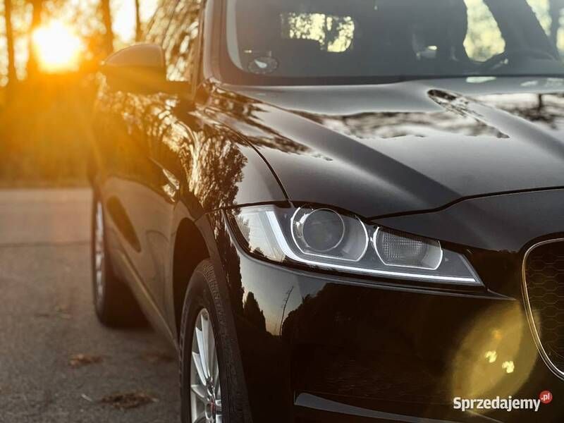 Czarny Używany 2018 Jaguar F-Pace SUV | 85 500 zł (Uczciwa cena) - Obraz 1/4